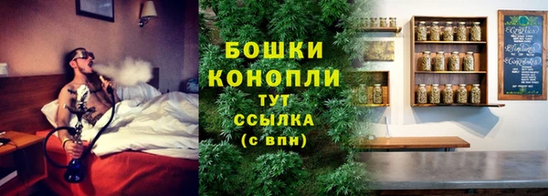 ALPHA PVP Горнозаводск
