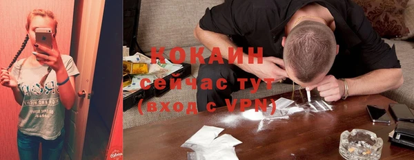 ALPHA PVP Горнозаводск