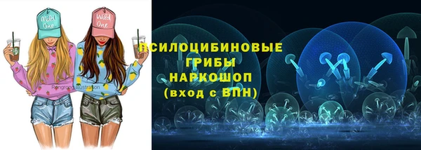 ALPHA PVP Горнозаводск